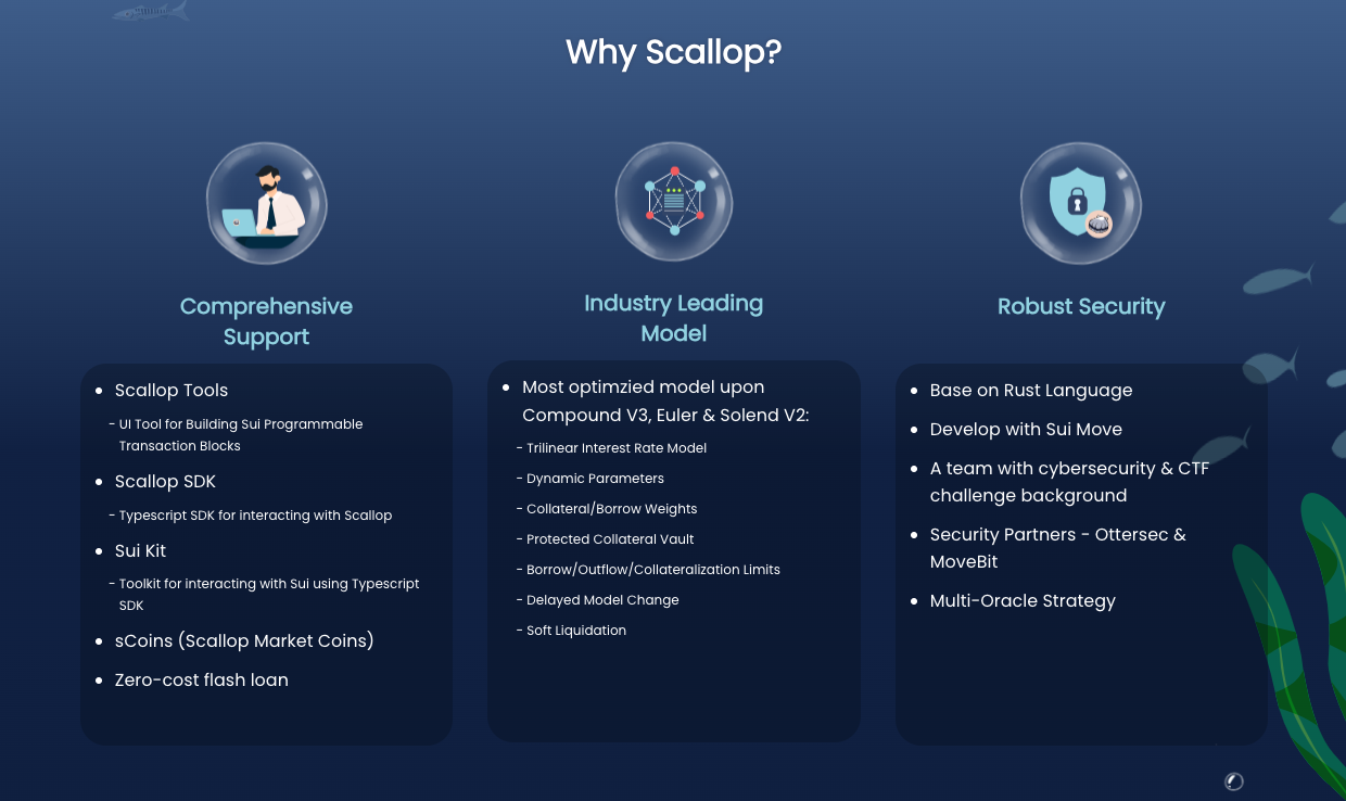 A user-friendly lending protocol on the Sui blockchain drives DeFi adoption